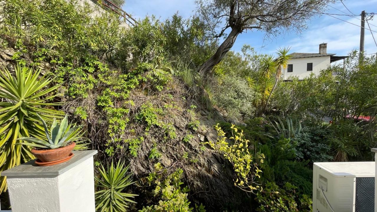 Iris Sea View Villa Afissos Exterior photo